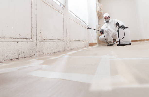 Post-remediation clearance in Juliustown